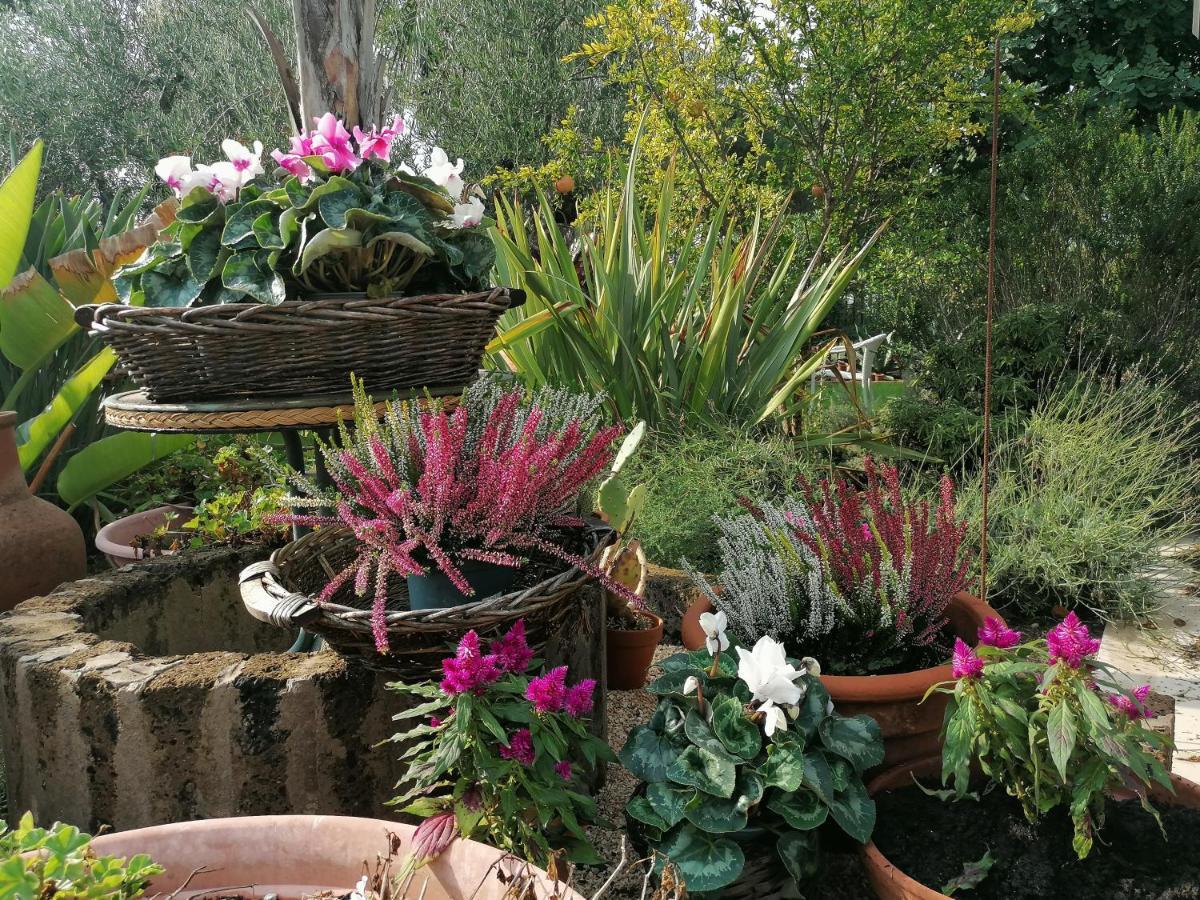 Hotel Il Giardino Del Te Barletta Zewnętrze zdjęcie