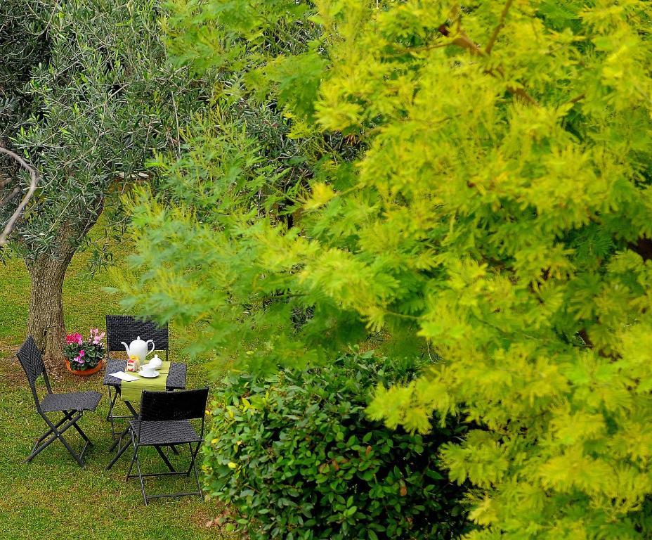 Hotel Il Giardino Del Te Barletta Zewnętrze zdjęcie