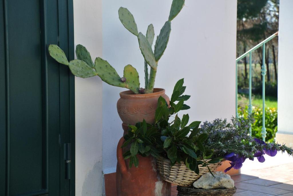 Hotel Il Giardino Del Te Barletta Pokój zdjęcie