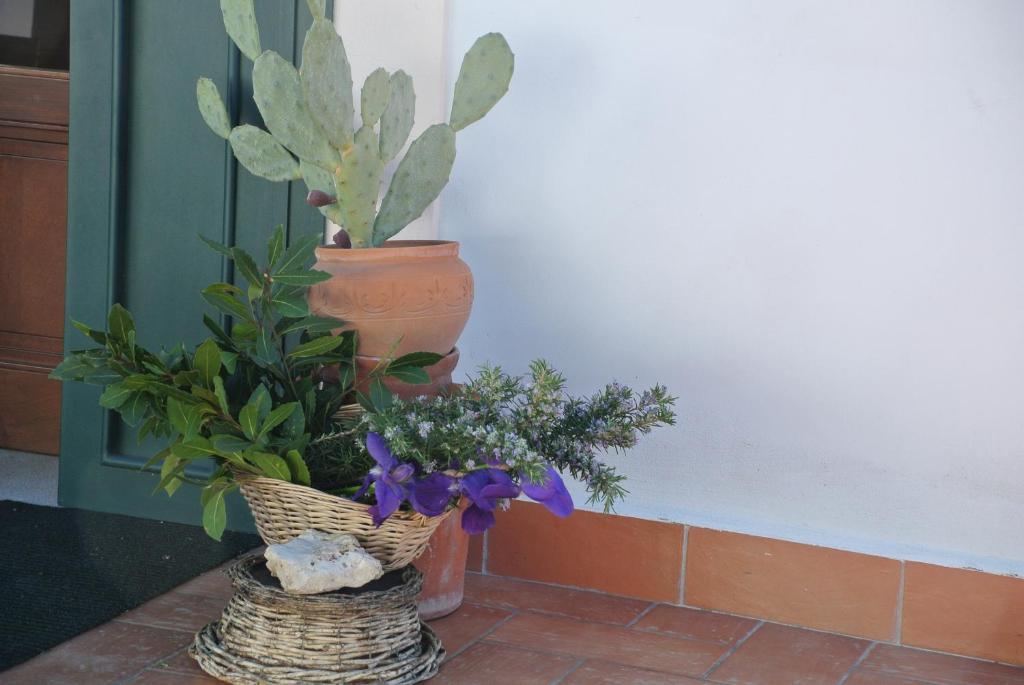 Hotel Il Giardino Del Te Barletta Zewnętrze zdjęcie